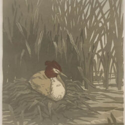 Albert Banska - Ente
