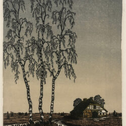 Albert Banska - Lüneburger Heide