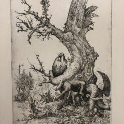 Caspar Walter Rauh - Gewalttätiger Baum