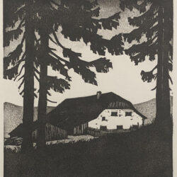 Albert Banska - Bayrischer Wald