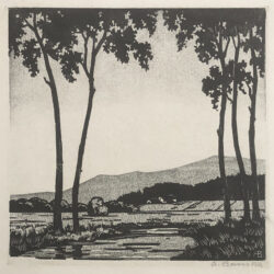Albert Banska - Erlen am Bach