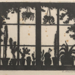 Albert Banska - Kakteenfenster