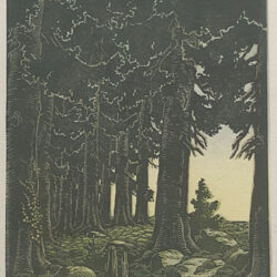 Albert Banska - Waldrand